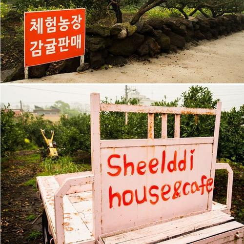 Sheelddi Pension Seogwipo Extérieur photo